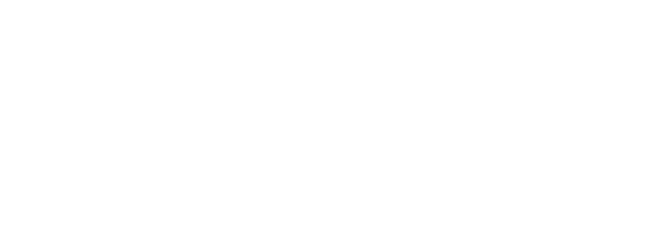 FIFA Logo